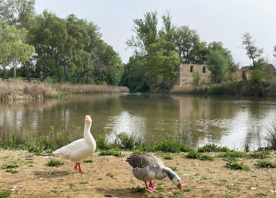 Casa Rural Berta Эль-Пикасо Экстерьер фото